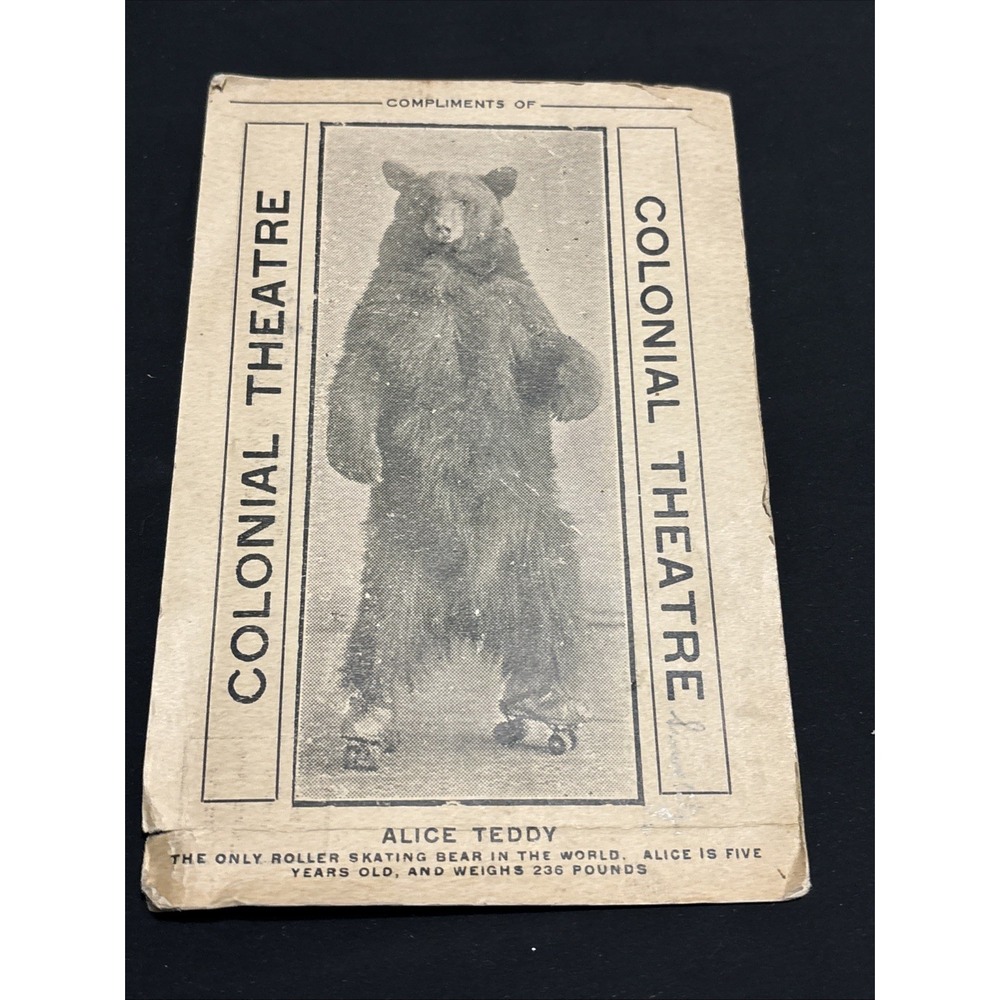 1913 Alice Teddy Roller Skating Bear Colonial Theatre Advertising Postcard